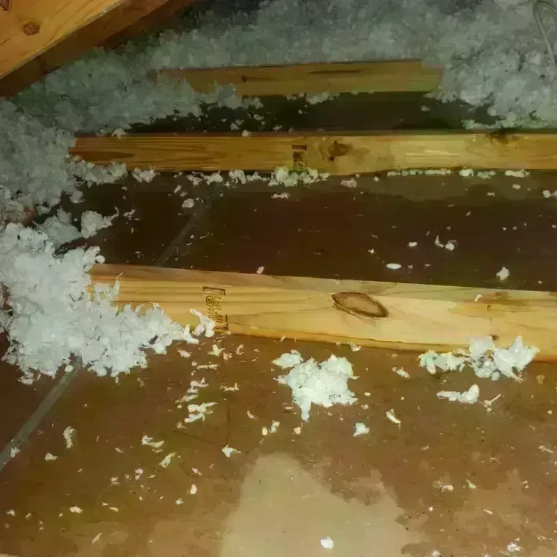 Attic Water Damage in Barnsdall, OK